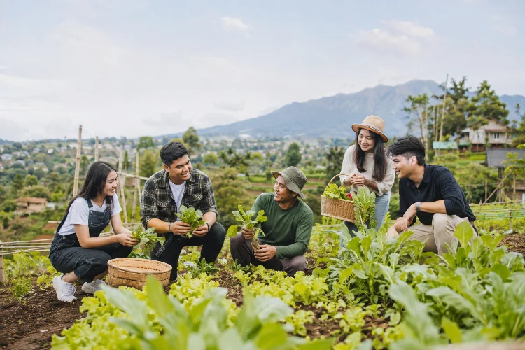 Agrowisata Batulayang: Liburan Seru sambil Belajar Bertani